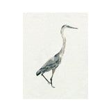 Saltwater Heron I