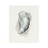 oyster watercolour art print