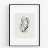 oyster watercolour art print