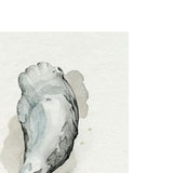 oyster watercolour art print