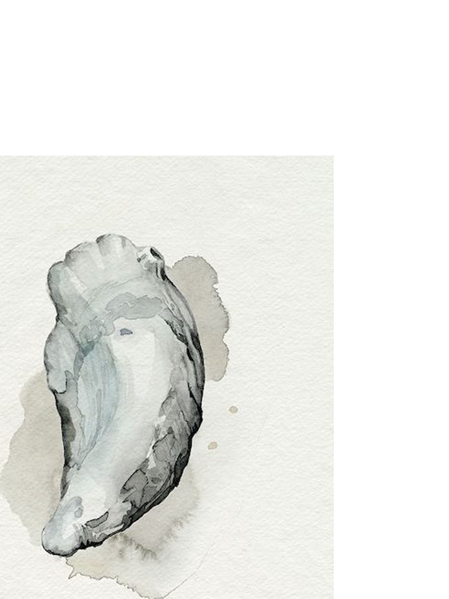 oyster watercolour art print