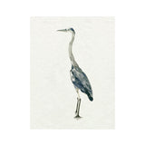 Saltwater Heron II