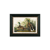 Birds by the Water VII Framed Picture