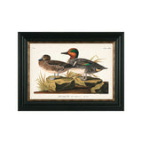 Birds by the Water VIII Framed Picture
