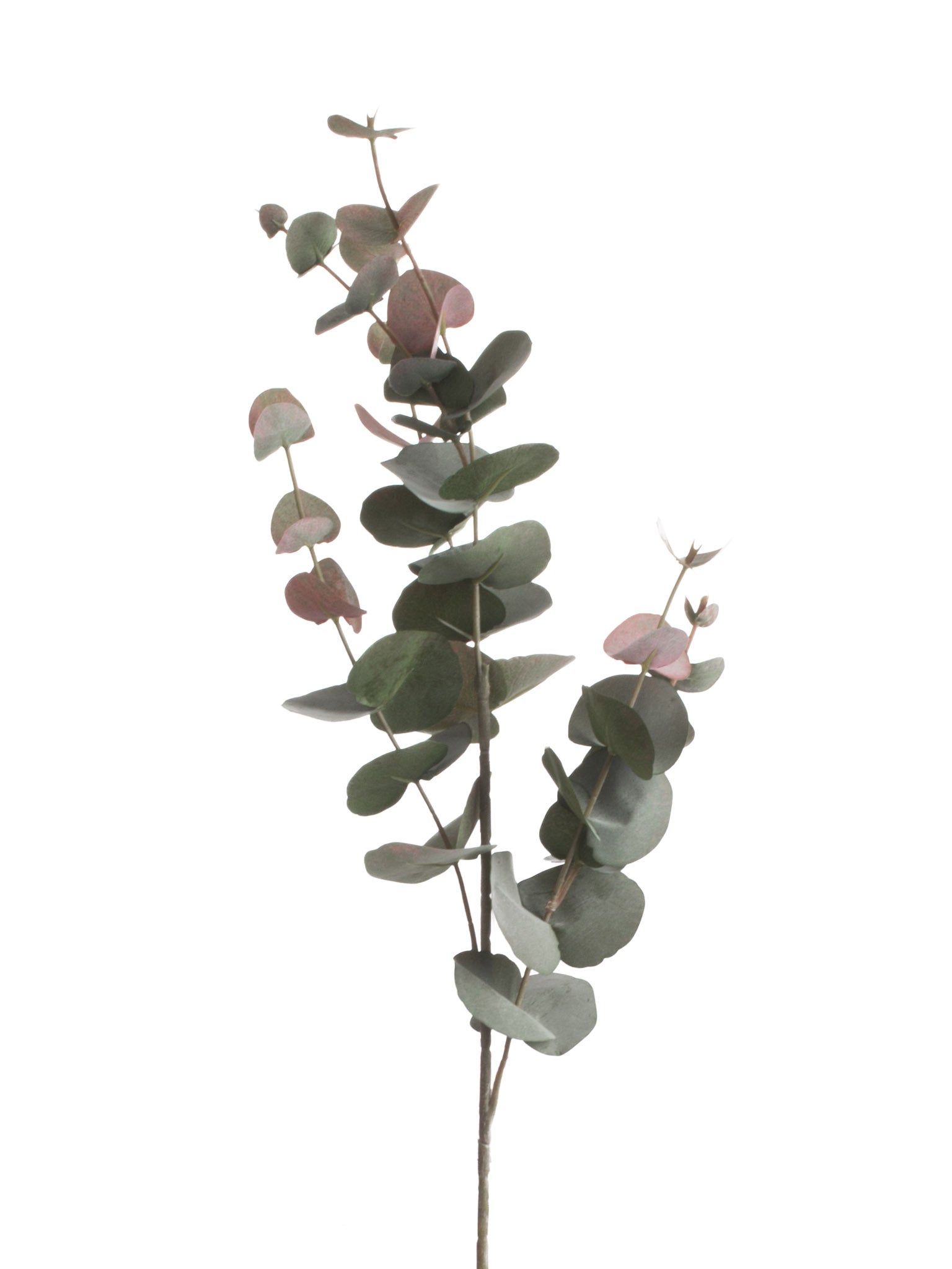 faux blush eucalyptus