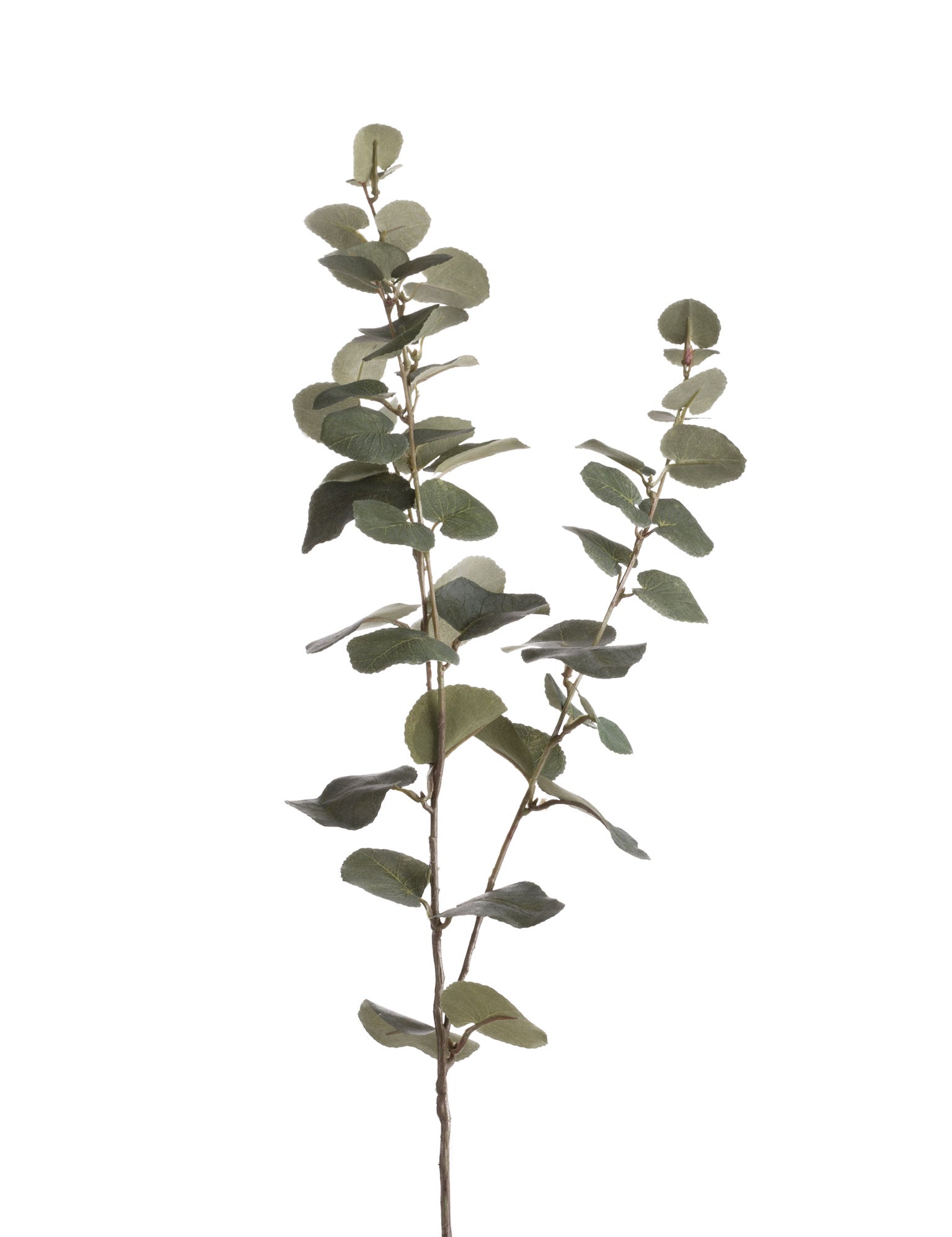 artificial eucalyptus stem