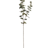 artificial eucalyptus stem