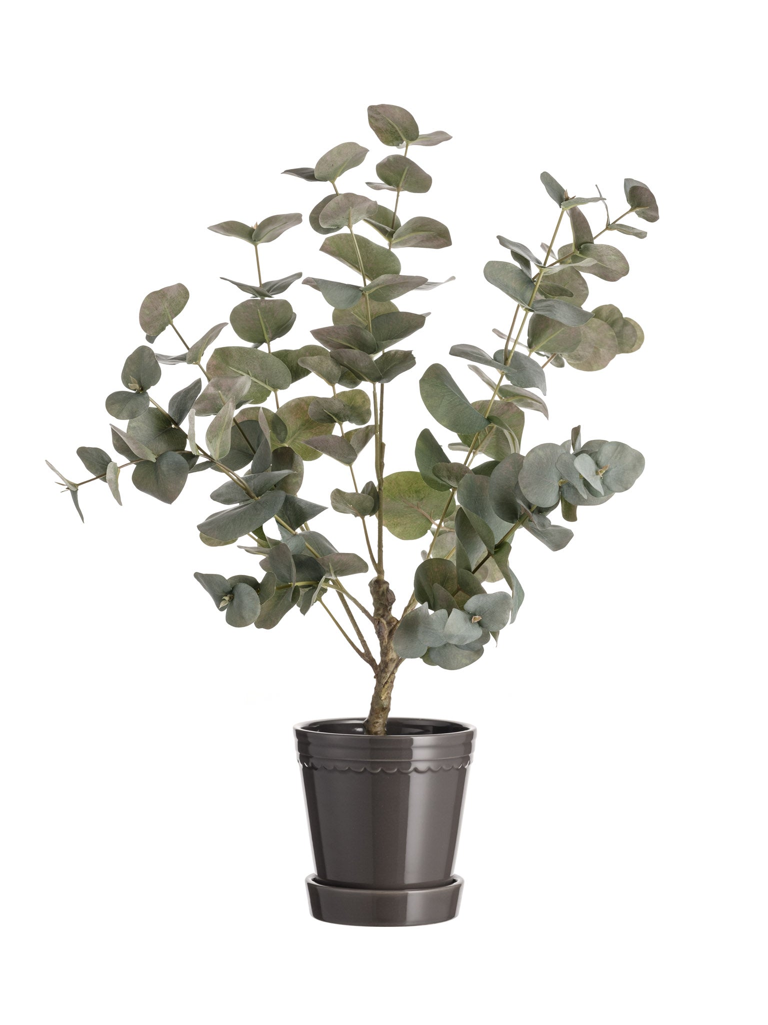 Faux Small Eucalyptus Tree