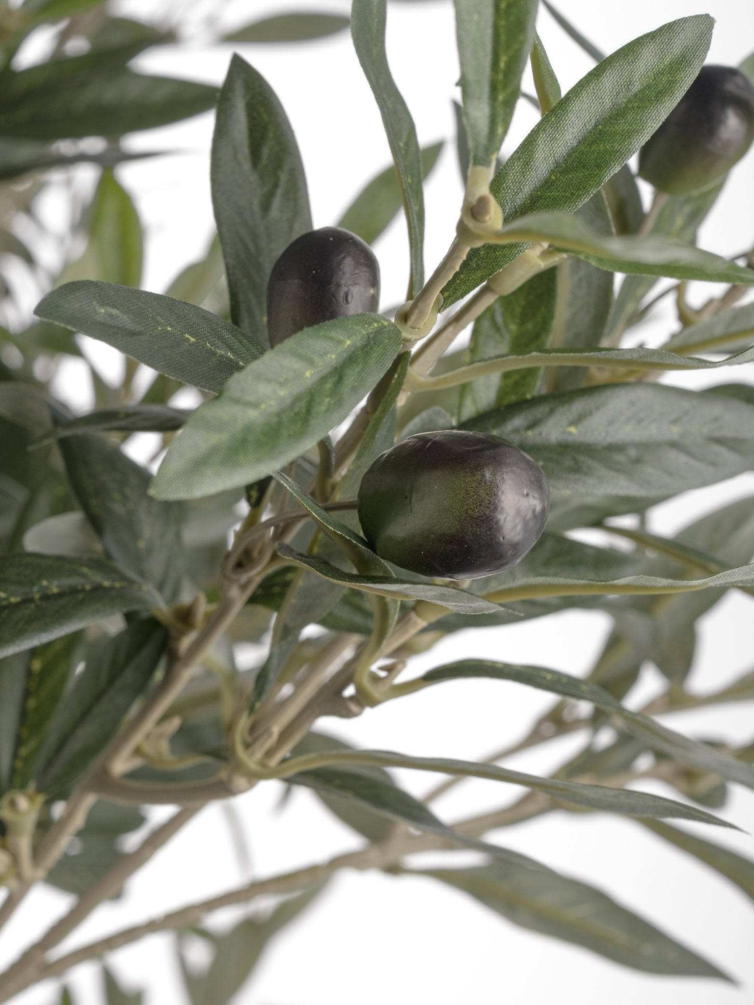 Large Faux Olive Tree