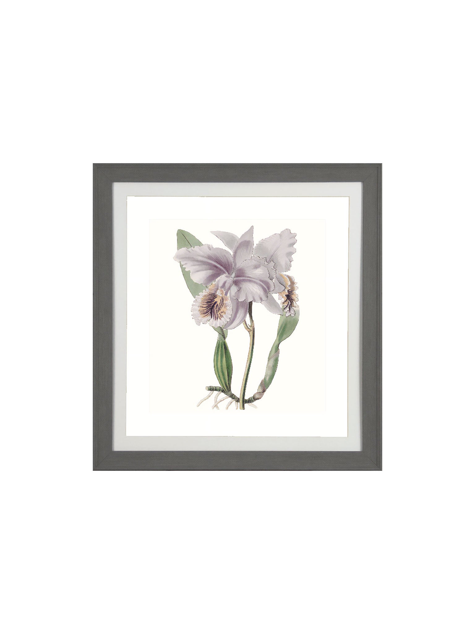 Floral vintage-style print with a grey frame.