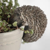 Pothanger Hedgehog