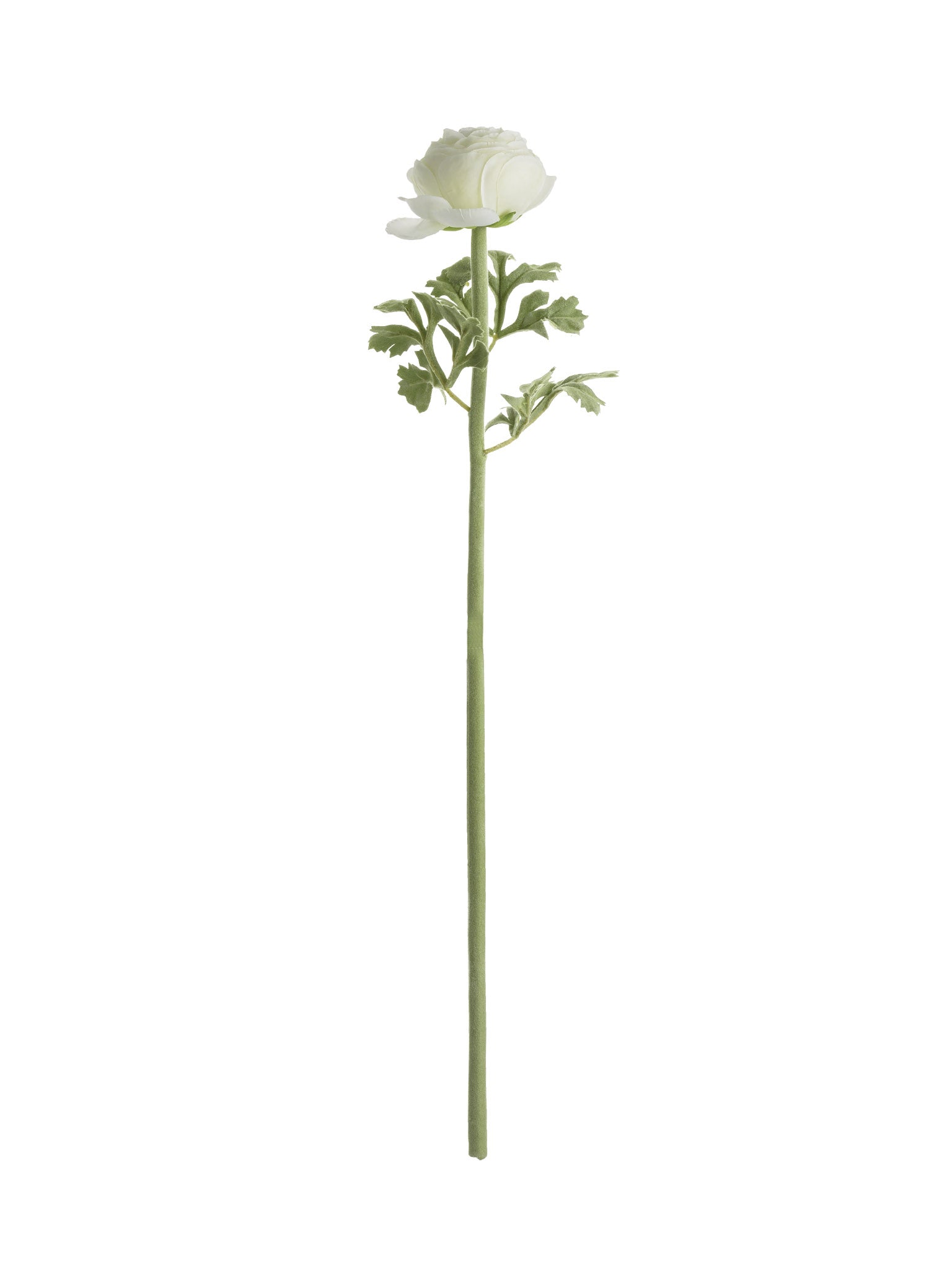 Faux Ranunculus Stem