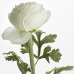 Faux Ranunculus Stem