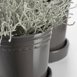 Scalloped Plant Pot Large - Charcoal