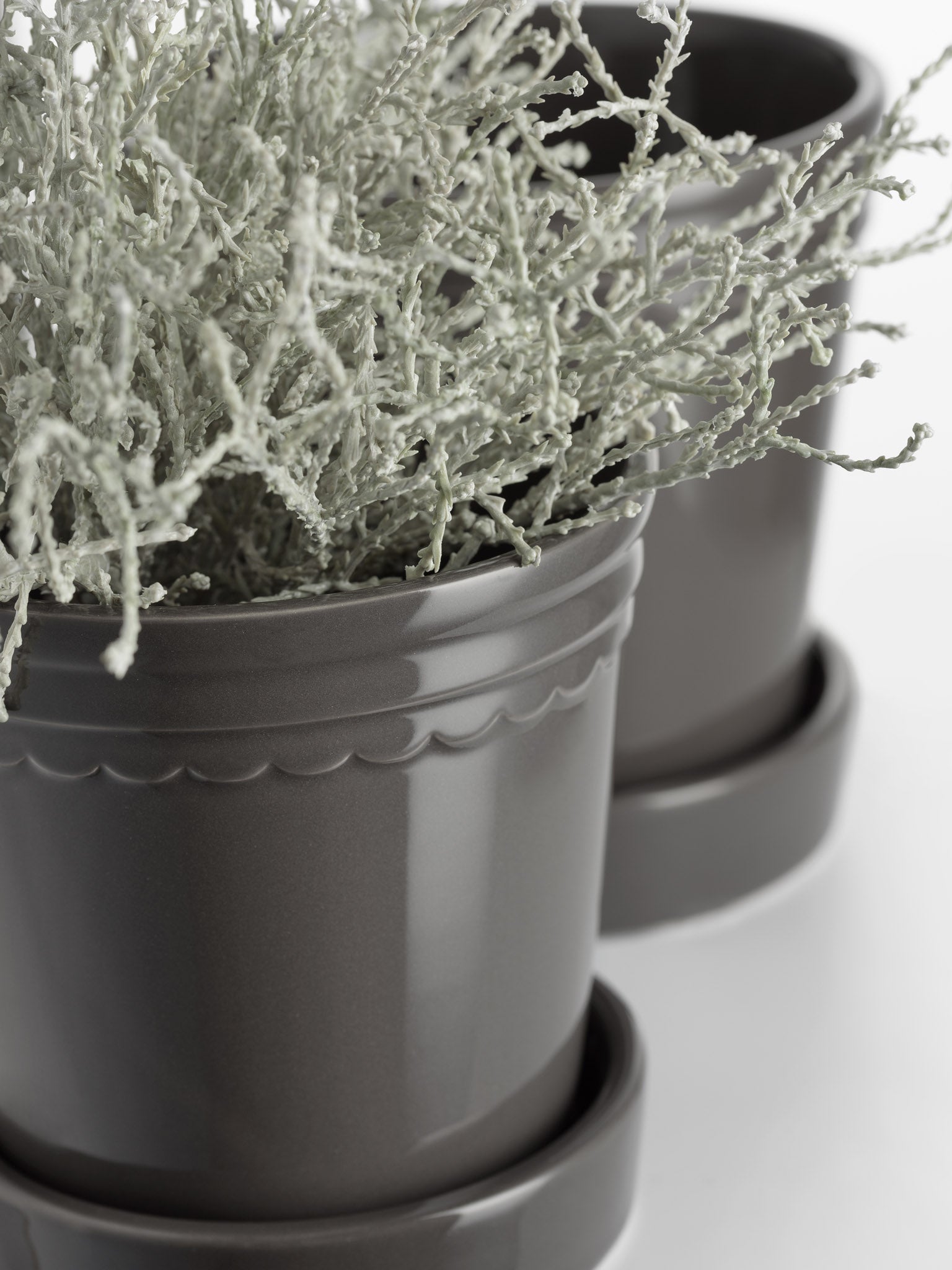 Scalloped Plant Pot Large - Charcoal