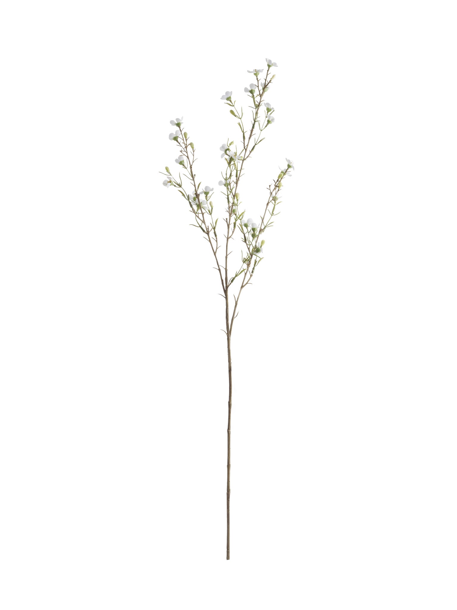 Faux White Wax Flower Stem