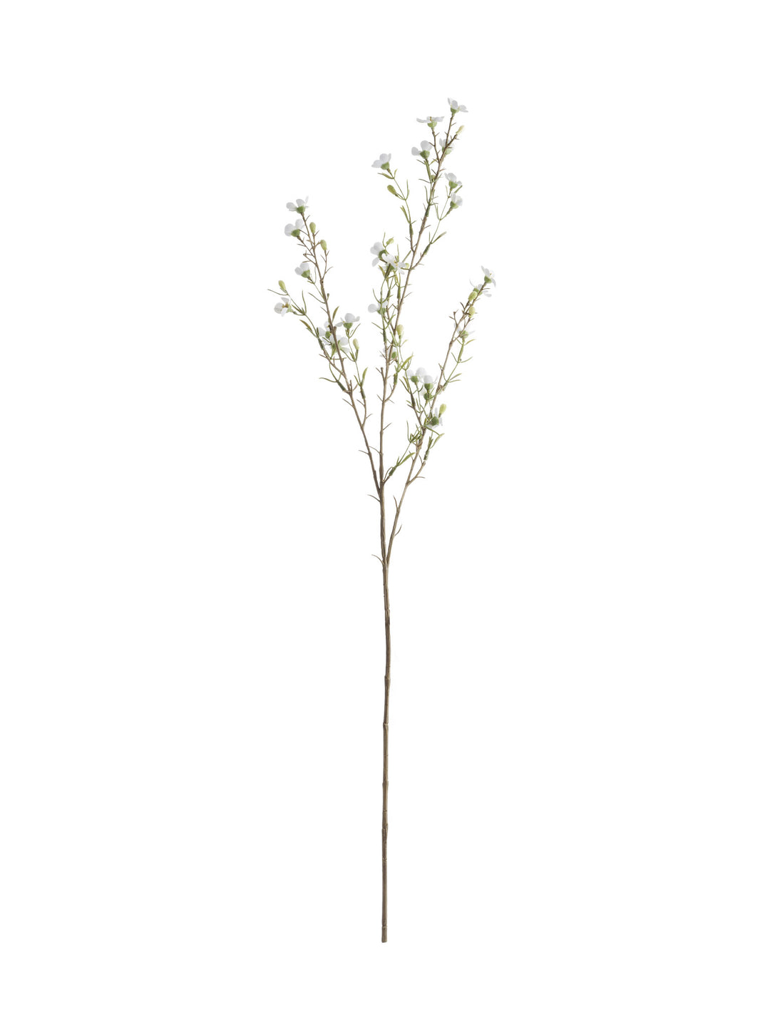 Faux White Wax Flower Stem – Hudson Home